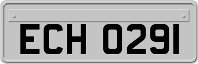 ECH0291