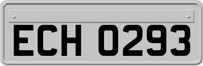 ECH0293