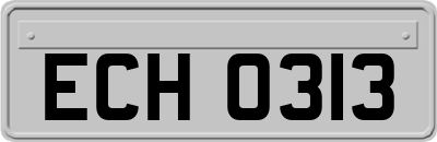 ECH0313