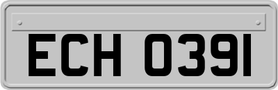 ECH0391