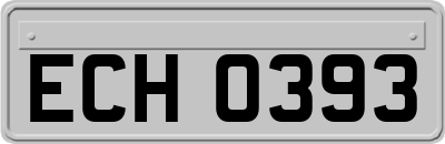 ECH0393