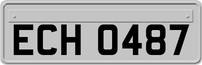 ECH0487