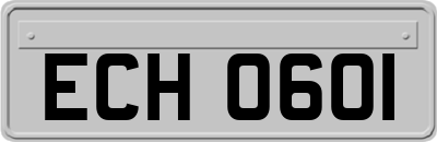 ECH0601