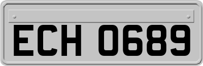 ECH0689
