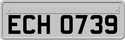 ECH0739