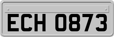 ECH0873