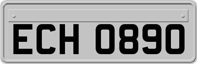 ECH0890
