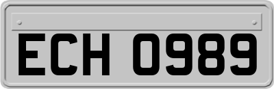 ECH0989