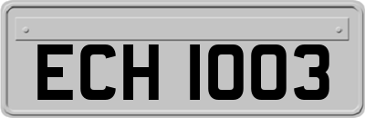 ECH1003