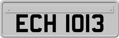 ECH1013