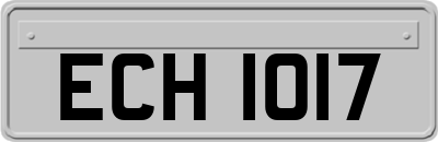 ECH1017