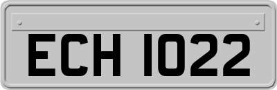 ECH1022