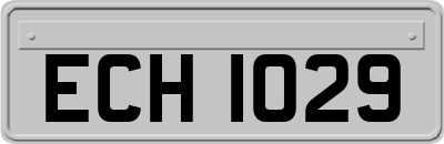 ECH1029