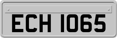 ECH1065