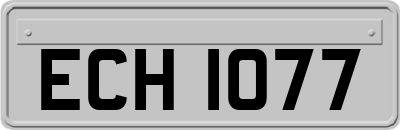 ECH1077