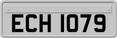 ECH1079