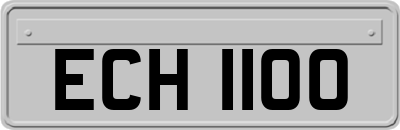 ECH1100