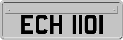 ECH1101