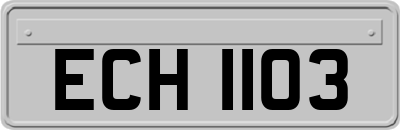 ECH1103