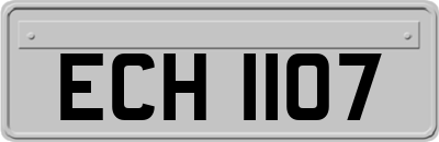 ECH1107