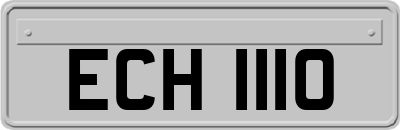 ECH1110