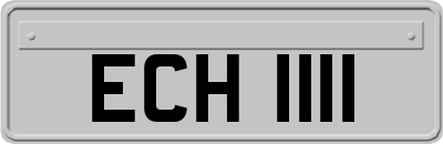 ECH1111