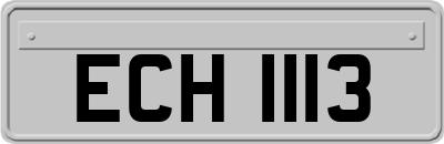 ECH1113