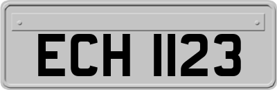 ECH1123