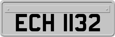 ECH1132