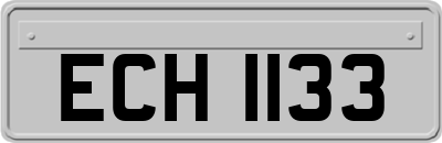 ECH1133