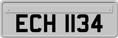ECH1134