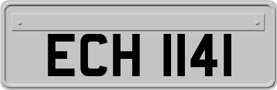 ECH1141
