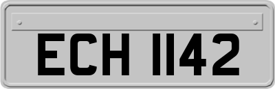 ECH1142