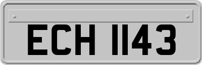 ECH1143