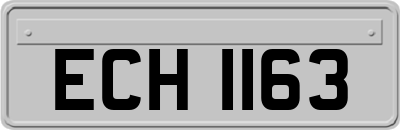 ECH1163