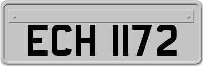 ECH1172