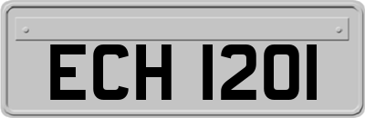 ECH1201