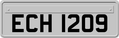 ECH1209