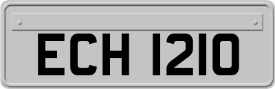 ECH1210