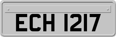 ECH1217