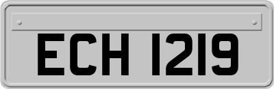 ECH1219