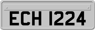 ECH1224