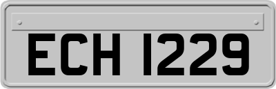 ECH1229