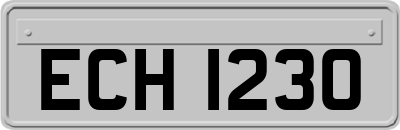 ECH1230