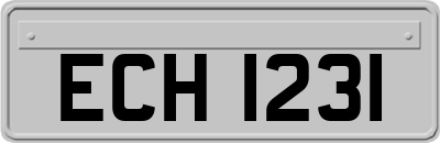 ECH1231