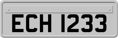 ECH1233