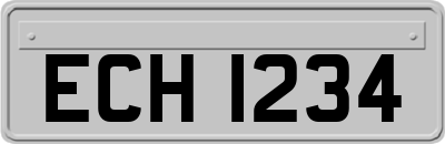ECH1234