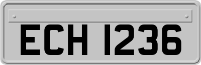 ECH1236