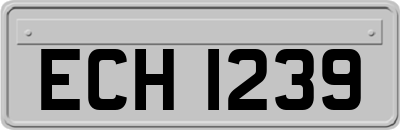 ECH1239