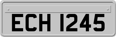 ECH1245